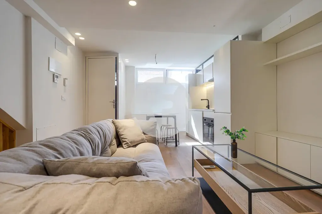 Elutuba - Renovated Duplex with Two Entrances in Guindalera