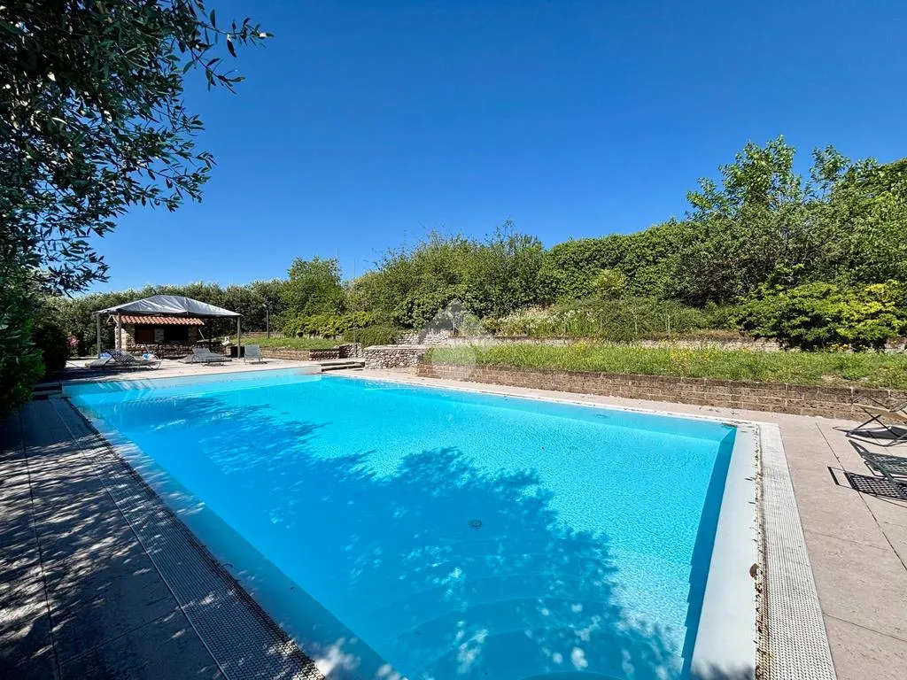 Piscina - Historic Villa with Pool in Sona