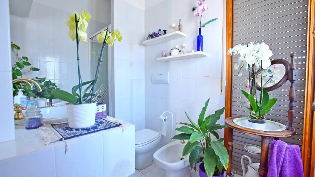 Vannitoad - Spacious Flat with Balcony in Mondovì