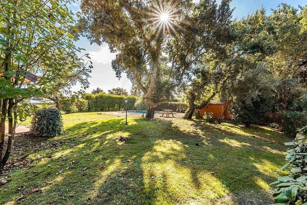 Jardin - Luxury Villa in Palmela, Setúbal