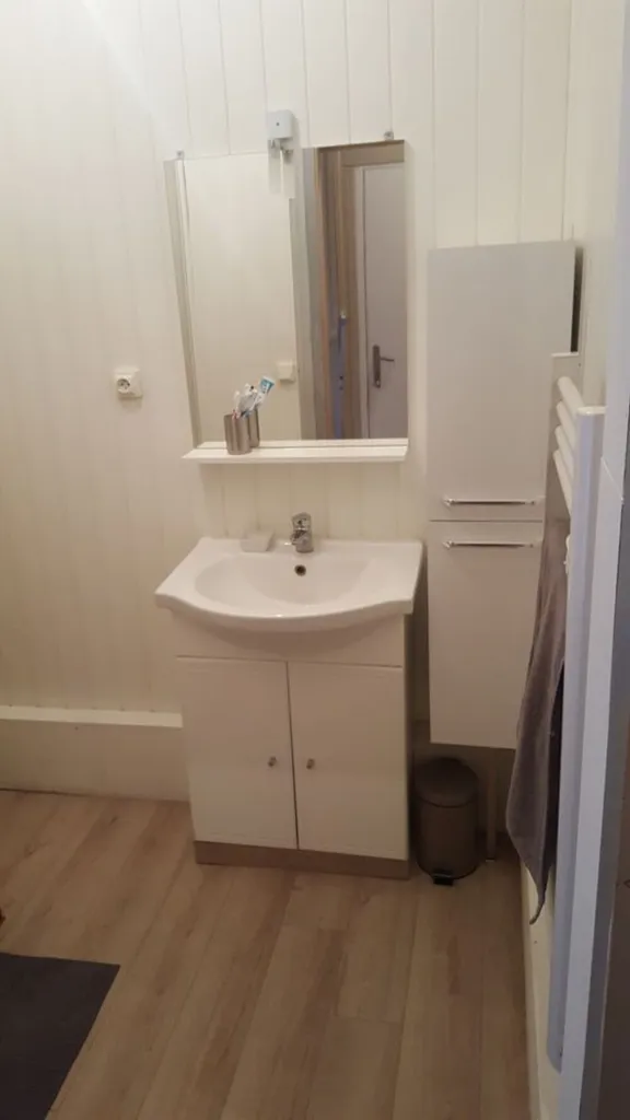 Salles de bain - Appartement Rénové avec Cuisine Ouverte à Lille