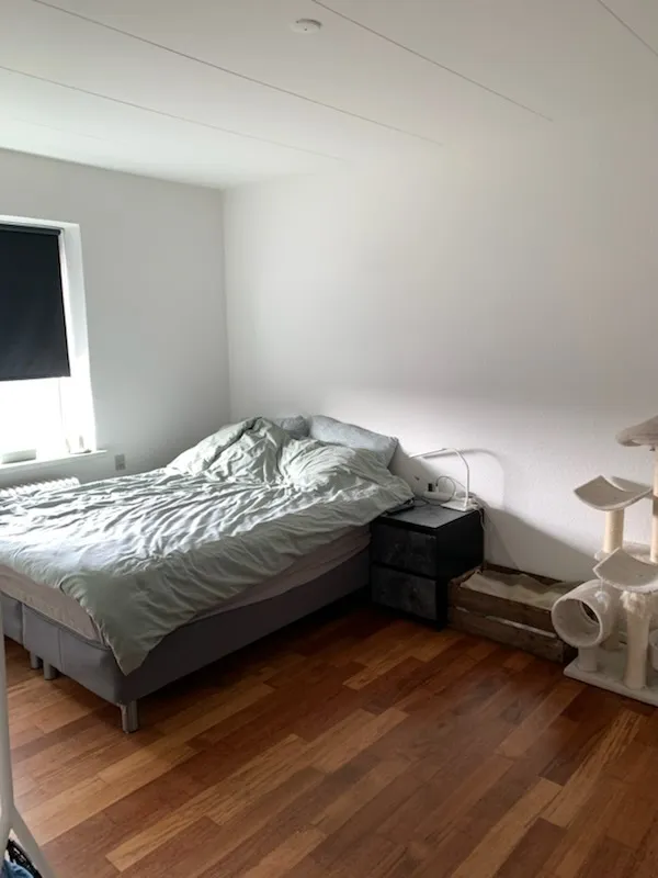 Magamistoad - Bright 2-Bed Flat with Balcony in Grenaa
