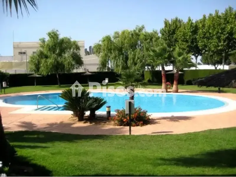 Piscine - Penthouse with Pool in Costa Ballena Golf
