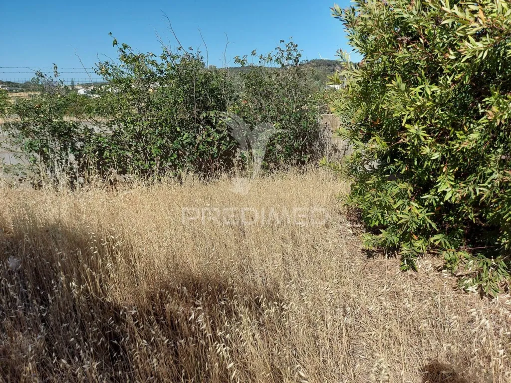 Aed - Delimited Land with Fruit Trees near Lagos