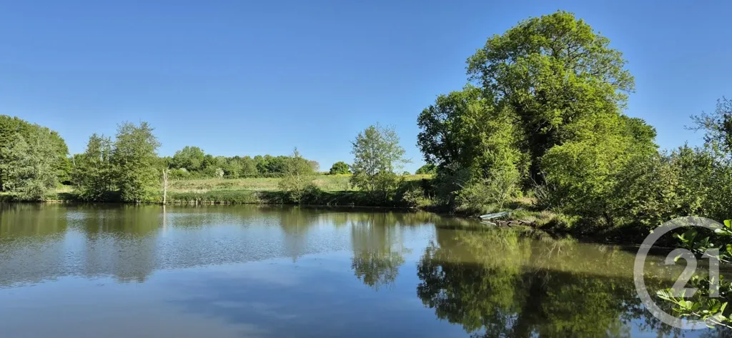 Jardin - Maison de Prestige avec Piscine à Saint-André-en-Bresse