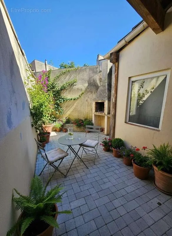 Jardin - Immeuble de Caractère avec Local Professionnel à Graulhet