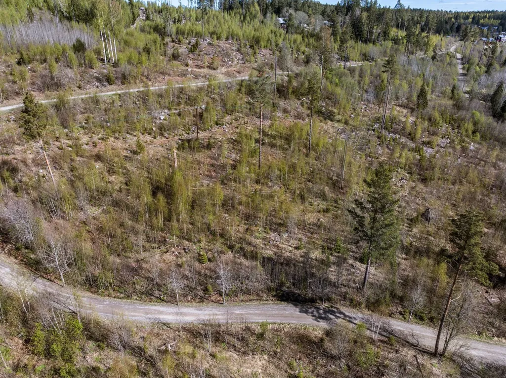 Vista aerea - Unbuilt Land with Forest in Sundsvall
