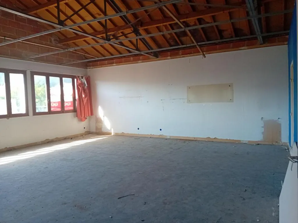 Toad - Renovation Project Apartment in Verzy
