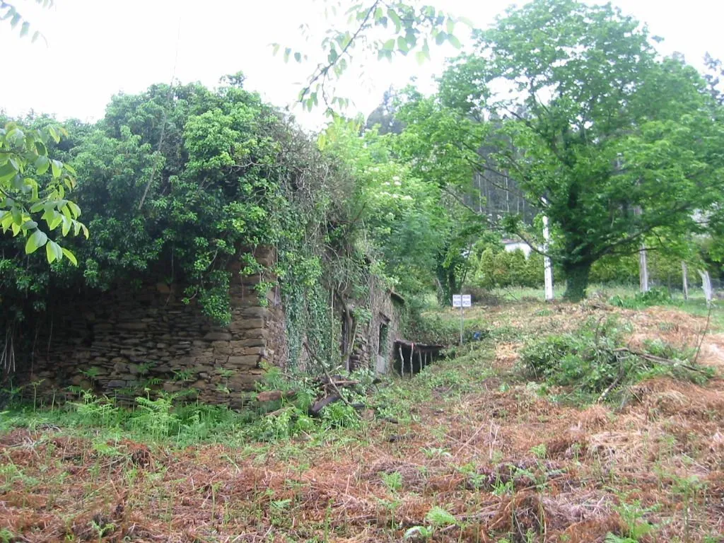 Garden - Plot with Ruin in Chao de Lamas