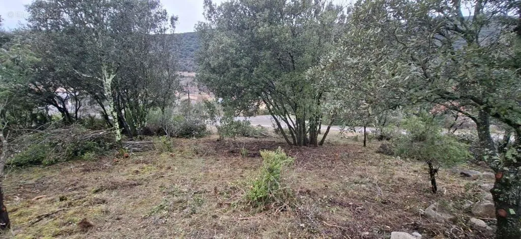 Aed - Buildable Land with View in Saint Maurice d'Ibie
