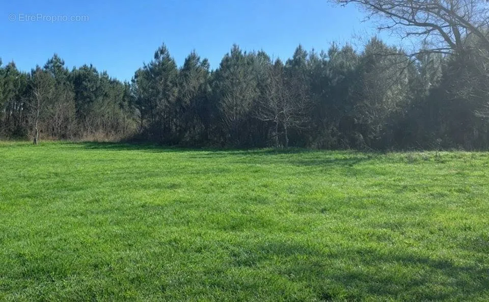 Aed - Land with Garden in Salles, Gironde