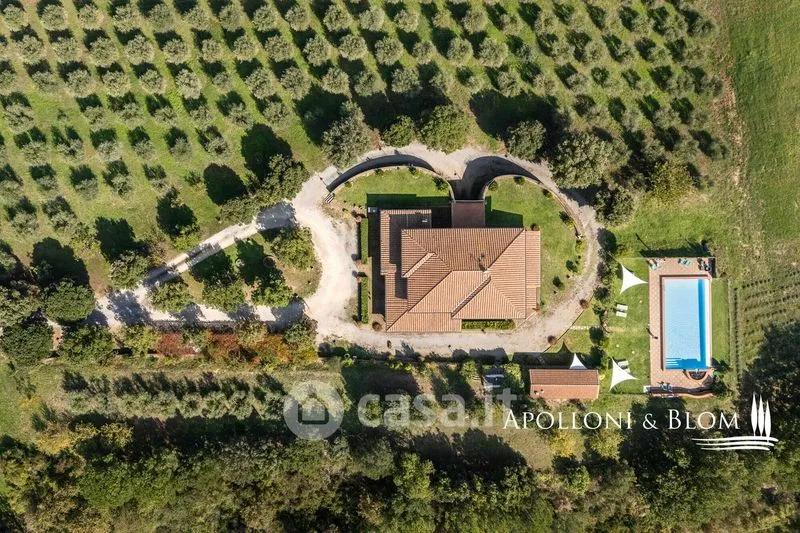 Vue aérienne - Rustic Farmhouse with Pool in Montepulciano