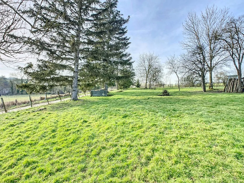 Garden - 6-room house in Viels-Maisons
