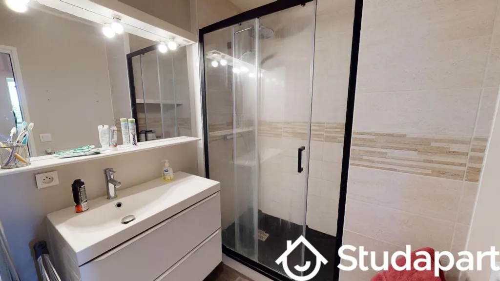 Vannitoad - Shared Flat with 3 Bedrooms in Saint-Sébastien-sur-Loire