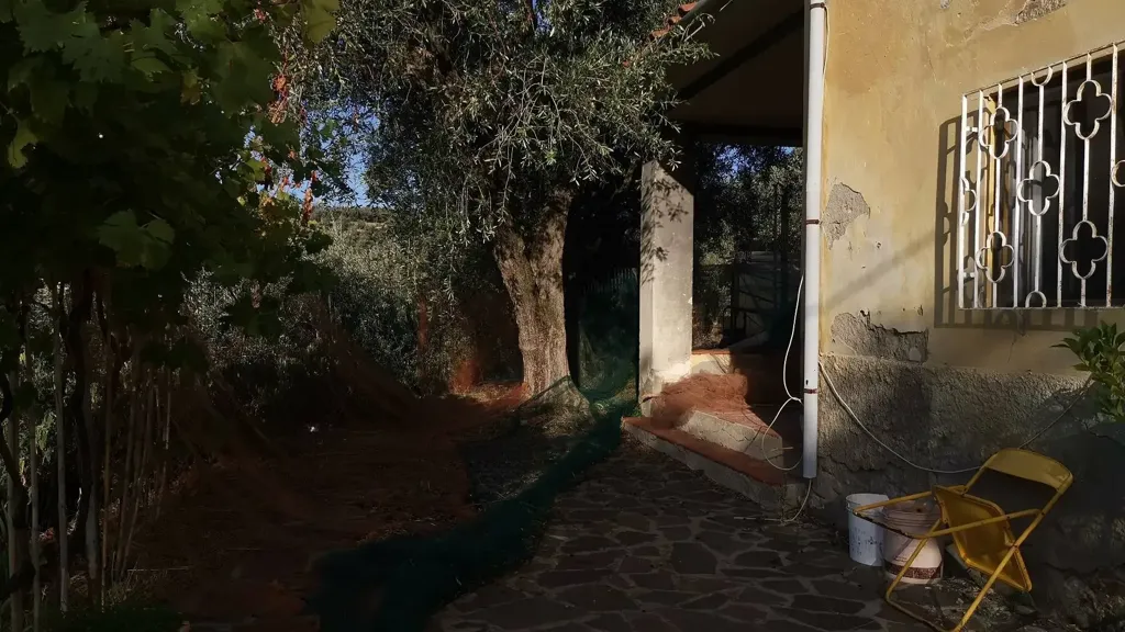 Terrasse - Rustic House with Olive Grove in Vicopisano