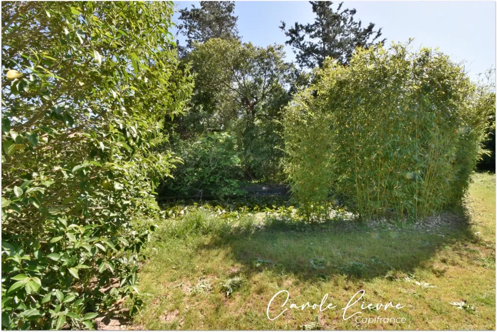 Jardin - Maison avec Piscine et Terrain de 2000 m²