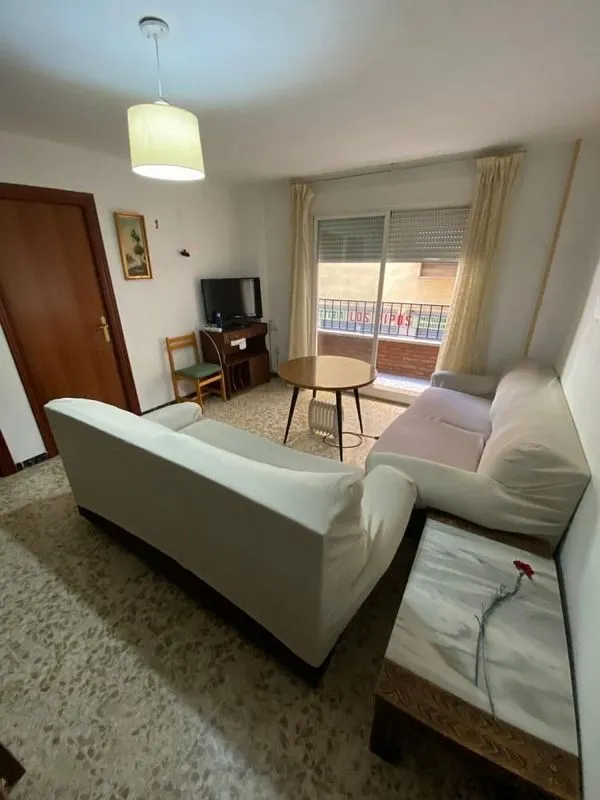 Séjour - Ample Student Flat with Terrace in Camino de Ronda