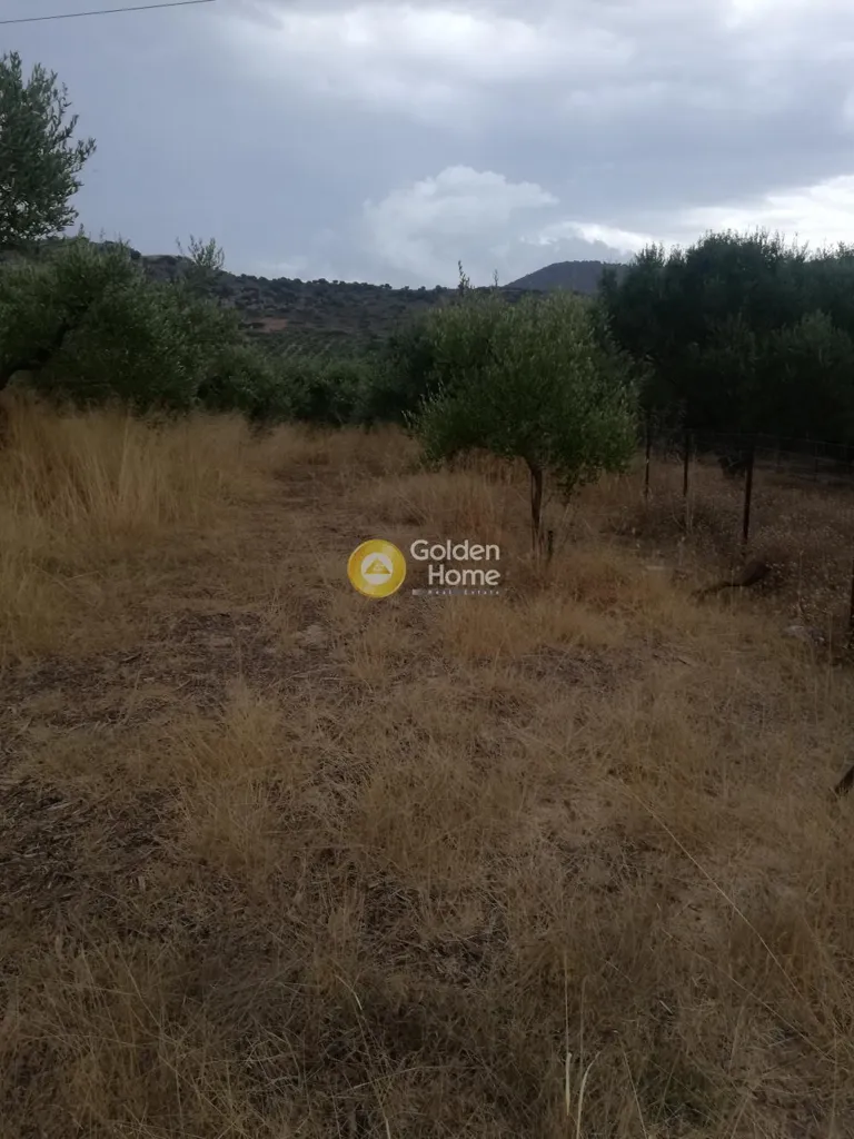 Garden - Agricultural Plot with Mountain View in Gouves
