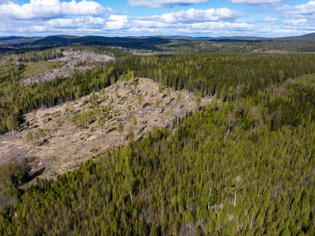 Giardino - Unbuilt Land with Forest in Sundsvall