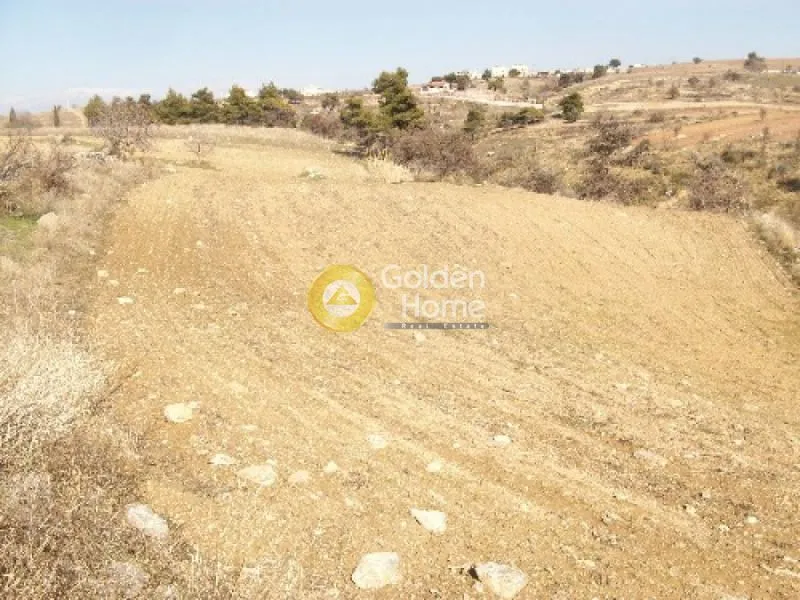 Aed - Plot with Garden in Eastern Attica