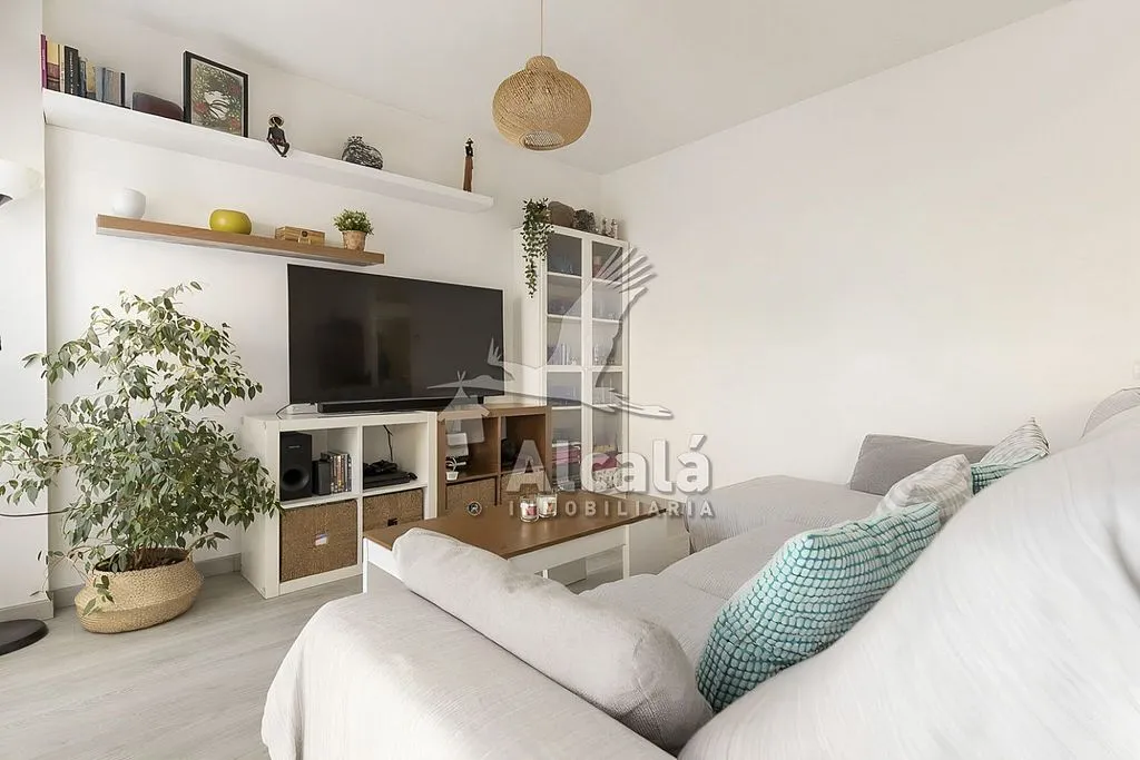 Séjour - 1-Bed Flat with Pool in Los Hueros