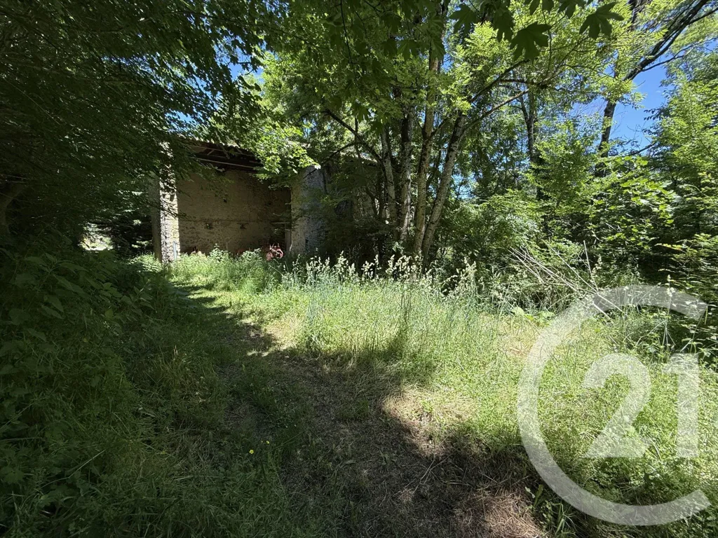 Giardino - Old Mill with River View in Limbrassac