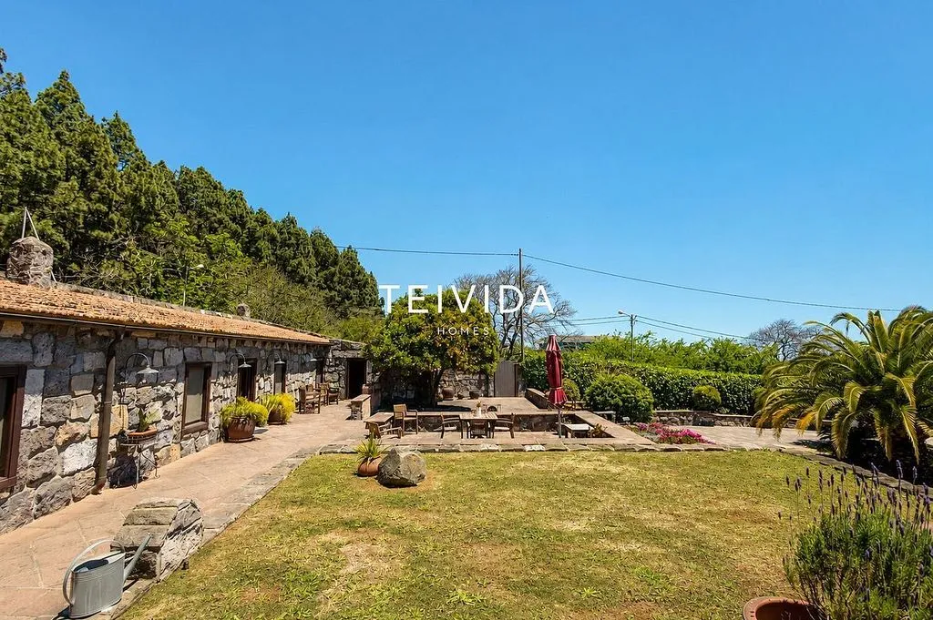 Garden - Villa with Pool and Bodega in El Rosario