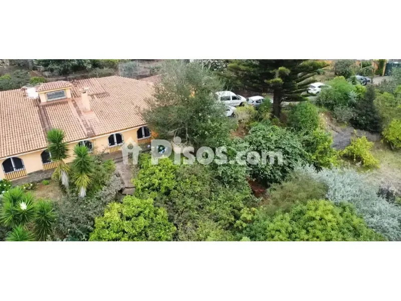 Õhuvaade - Rustic Finca with Orchard in Valleseco