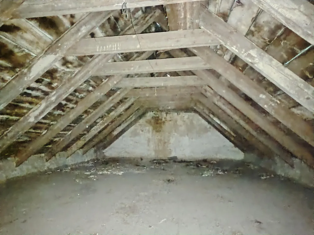 Pièces - Maison en Pierre à Rénover à Ploudaniel