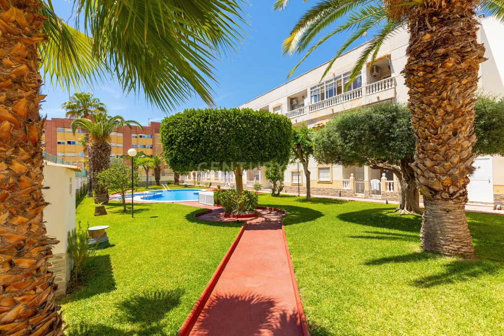 Jardin - Reform Studio with Pool in Torrevieja