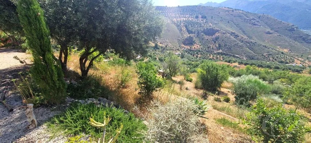 Garden - Detached Country House with Pool in Alcaucín