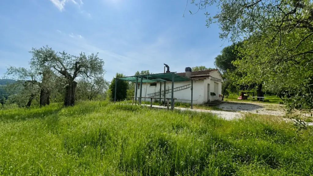 Jardin - Rustic Villa with Garden in Palaia