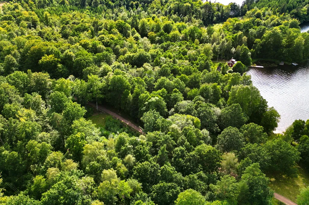 Vista aerea - Freehold Plot with Lake View in Skåne