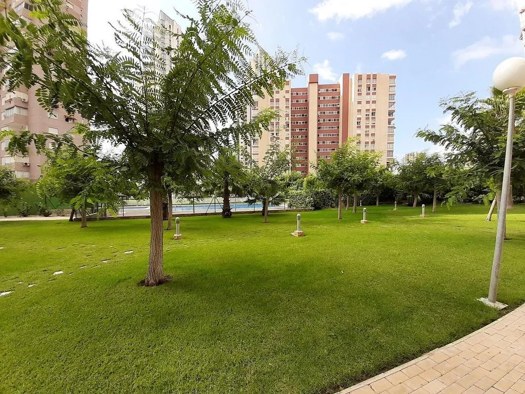 garden