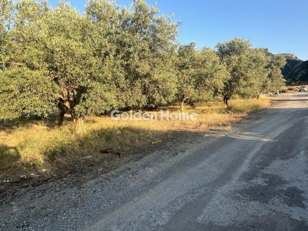 Giardino - Commercial Plot with Olive Trees in Traganá