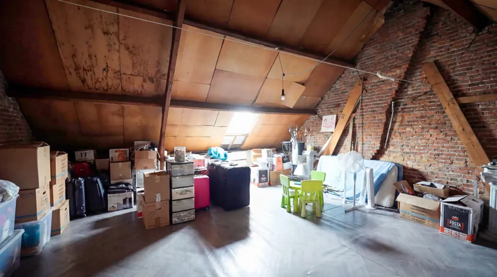 Toad - Renovated Master House with Cellar in Semi-Detached Setting