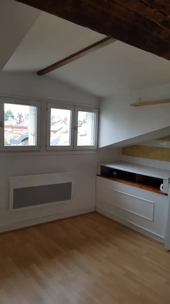 Toad - Mansard Studio with Balcony in Toulouse