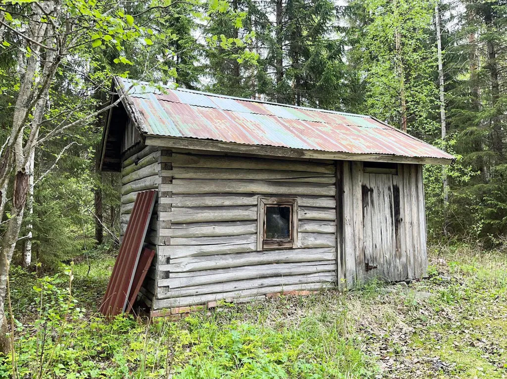 Extérieur - Country House with Forest in Kiuruvesi
