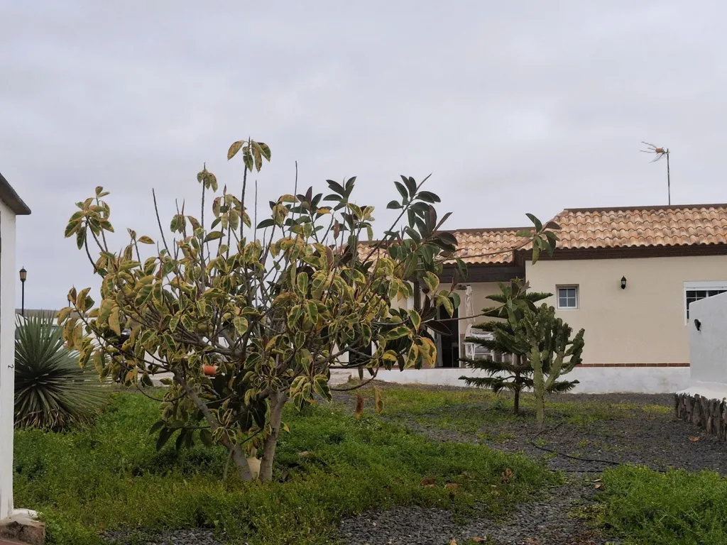 Välivaade - Independent Chalet with Pool in La Oliva