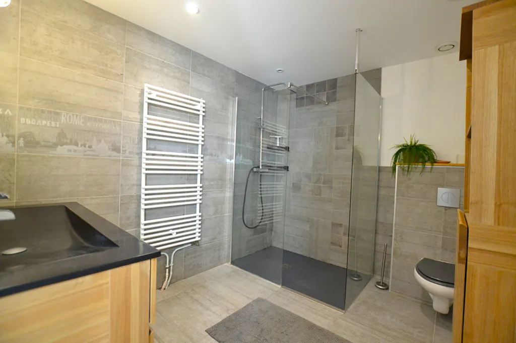 Vannitoad - Duplex Loft Apartment with Terrace near Millery Centre