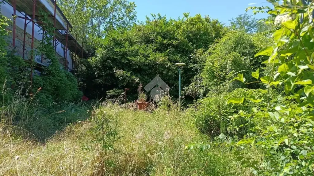 Aed - Rustic House with Panoramic View in Roncofreddo