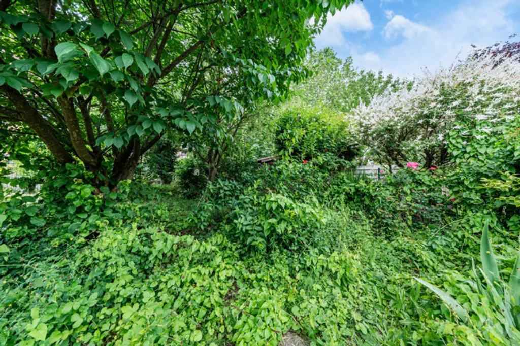 Giardino - House with Garden and Terrace in Waremme