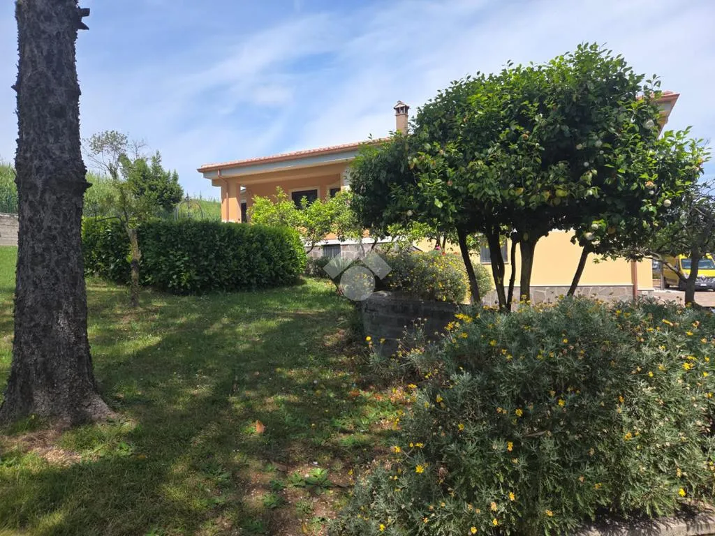 Jardin - Villa with Panoramic Balcony in Velletri