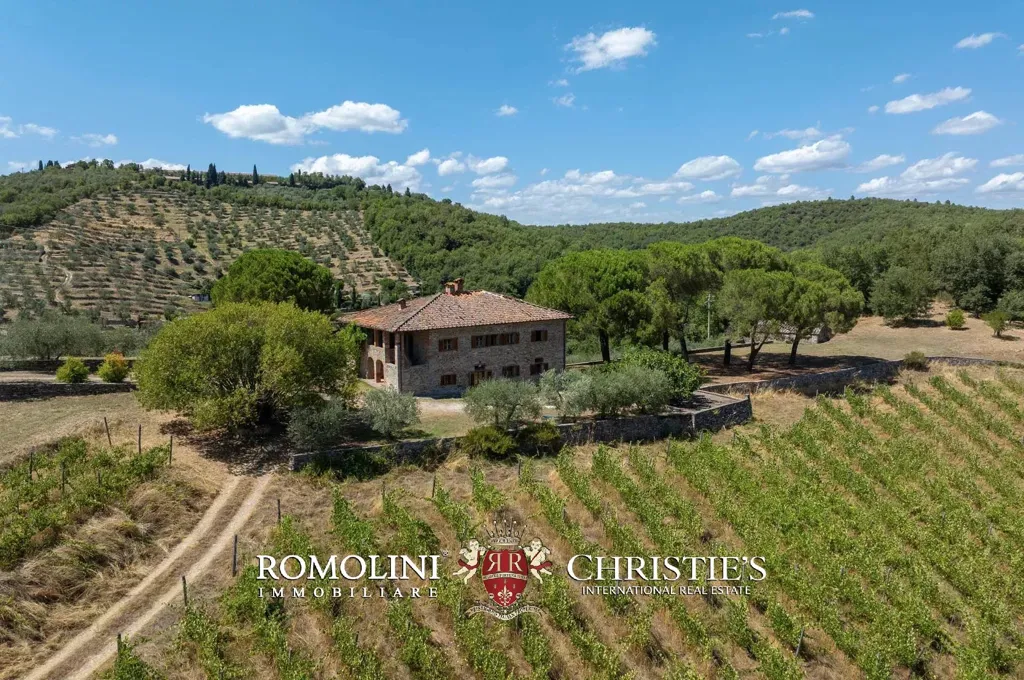 Õhuvaade - Rustic Farmhouse with Panoramic Views in Chianti