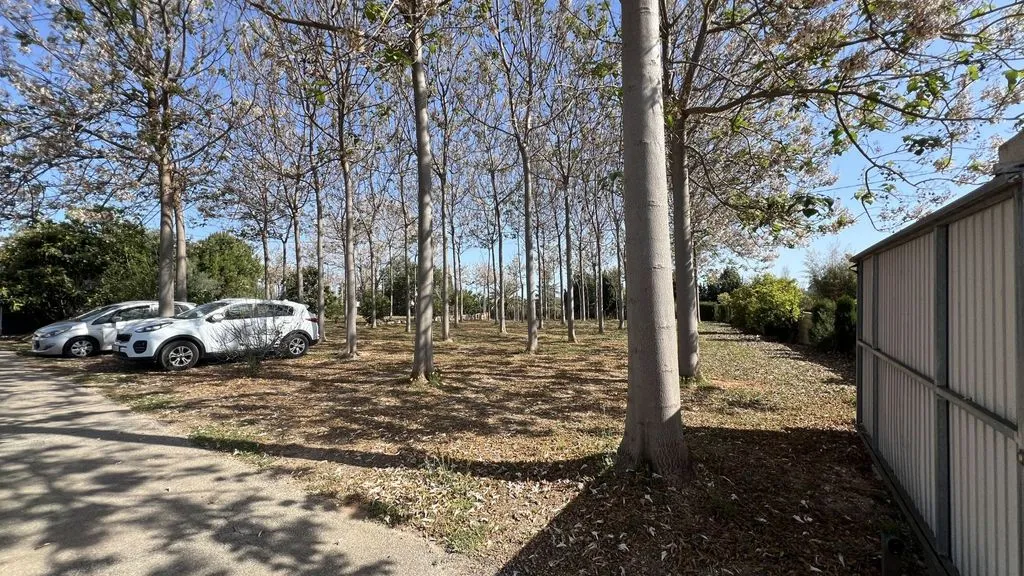 Aed - Luxury House with Warehouse in Pedreguer