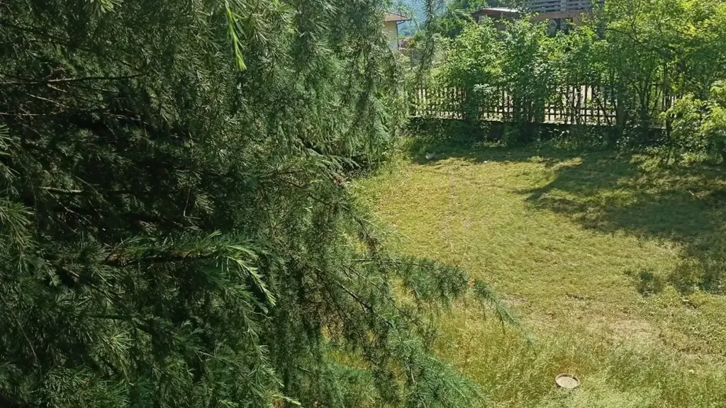 Jardin - Villa with Private Garden in Giaveno