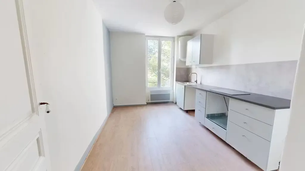 Cuisine - Appartement Rue de Terrenoire à Saint-Étienne