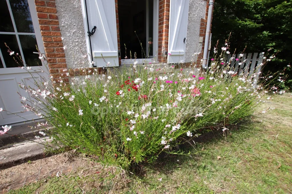 Jardin - Maison de Charme au Calme à Nancay