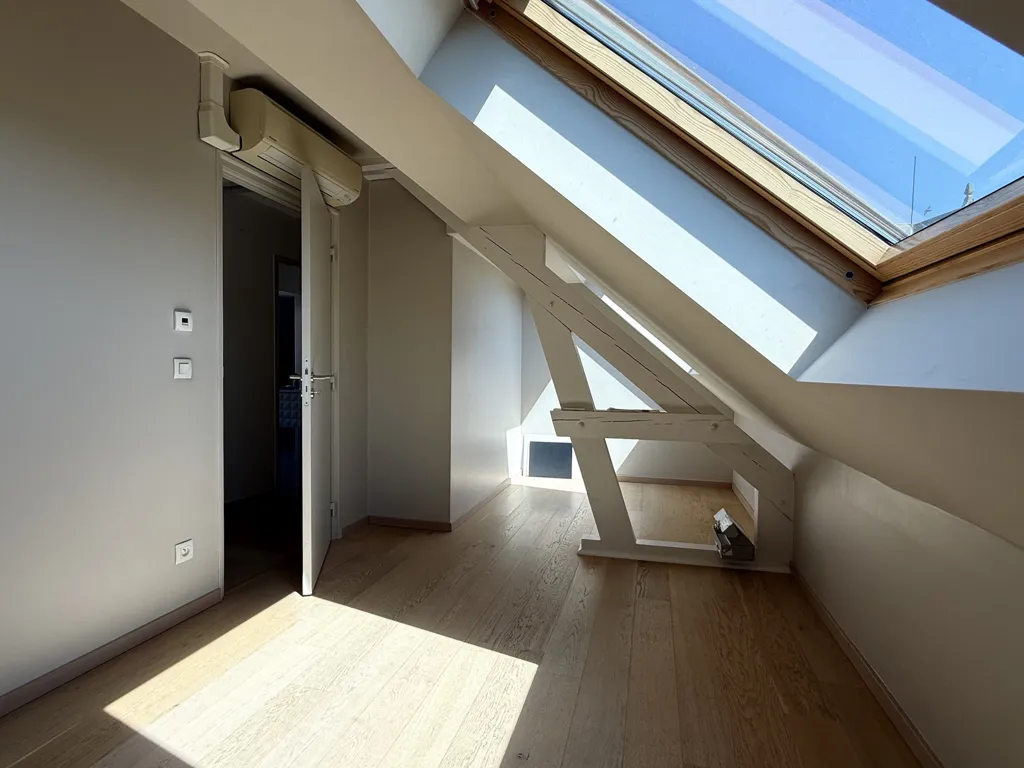 Toad - Attic Apartment with Terraced Garden in Châtel-Saint-Germain