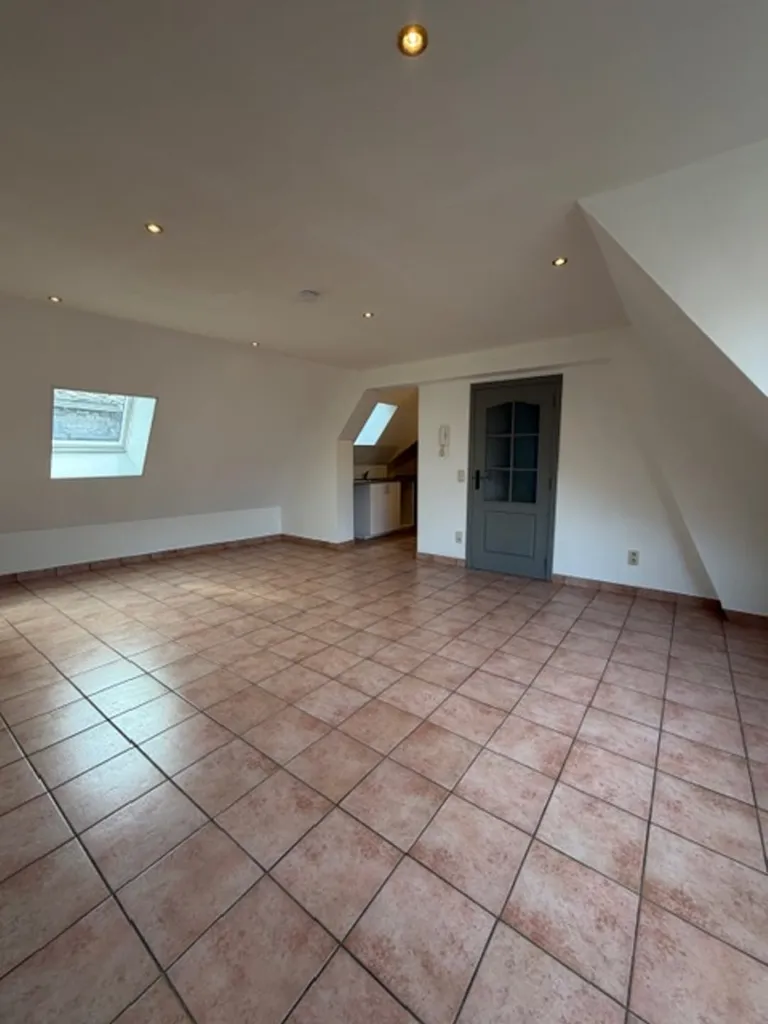 Toad - Spacious Apartment in Marche Centre